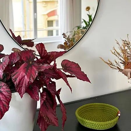 Lägenhet Le Machicoulis - Avec Parking, En Face De Nausicaa Boulogne-sur-Mer